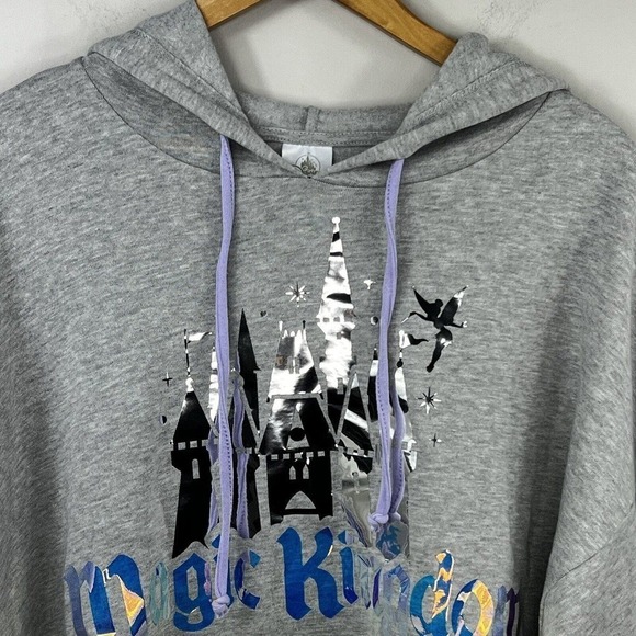 Disney Parks Gray Iridescent Magic Kingdom Hoodie Sweatshirt Size XL Castle Tink - Picture 2 of 14